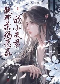 朕那柔弱恶毒的小夫君大结局