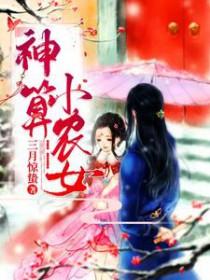 神医小农女