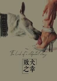 败犬都有谁