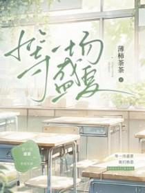 等一场盛夏在线阅读