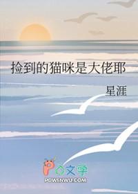 捡到猫