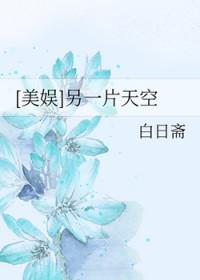 另一片天空解析