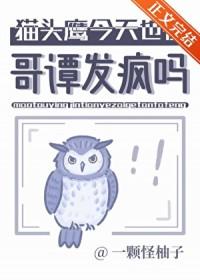 哥谭猫头鹰法庭的结局