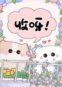 变猫后我掉四层马甲免费阅读