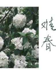 难兄难弟未删减