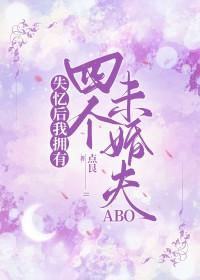失忆后我多了个未婚妻 作者兮木萧萧