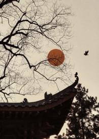 雀雀儿是什么意思
