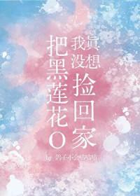 我真没想无限融合