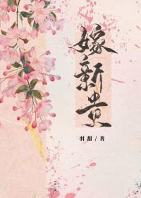 嫁新贵全文免费阅读