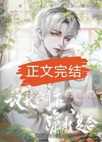 联邦和联合国