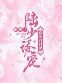 陆少甜宠替嫁妻