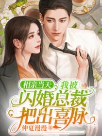 相亲遇到总裁闪婚