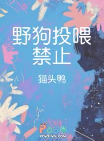 喂野狗好吗