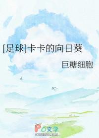 足球卡卡甜文