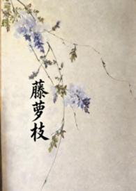 藤萝为枝晋江