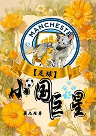 足球小国巨星