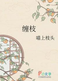 缠枝莲纹图案