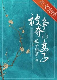 南枚