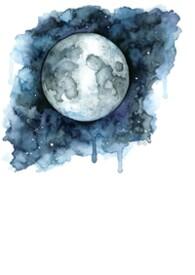 水星掉进太阳
