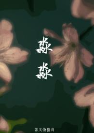 淼淼 作者