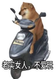 不爱玩