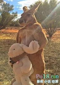 围床夜话父女若飞全文免费笔趣阁