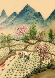 重生年代文耽