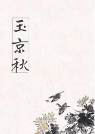 玉京谣